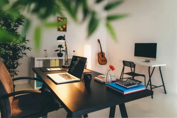 Bringing Your Home Office to Life with Green Plants