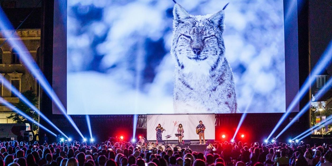 România sălbatică se lansează în cinematografele din țară pe 17 septembrie