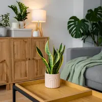 Introdu natura în casa prin intermediul culorilor. Trucuri utile să-ți atingi rapid obiectivul