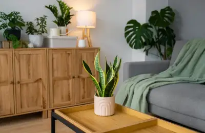 Bring Nature Indoors Through Color: Quick Tips to Achieve Your Goal