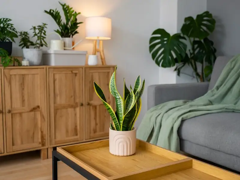 Introdu natura în casa prin intermediul culorilor. Trucuri utile să-ți atingi rapid obiectivul