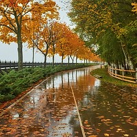 Prognoza meteo, 15 octombrie. Temperaturi apropiate de pragul înghețului. Ploile vor fi prezente în unele regiuni
