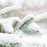 Vine iarnă grea, s-a anunţat când ninge şi la Bucureşti. Climatologii au descoperit anomalii ale vortexului polar