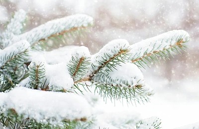 Vine iarnă grea, s-a anunţat când ninge şi la Bucureşti. Climatologii au descoperit anomalii ale vortexului polar