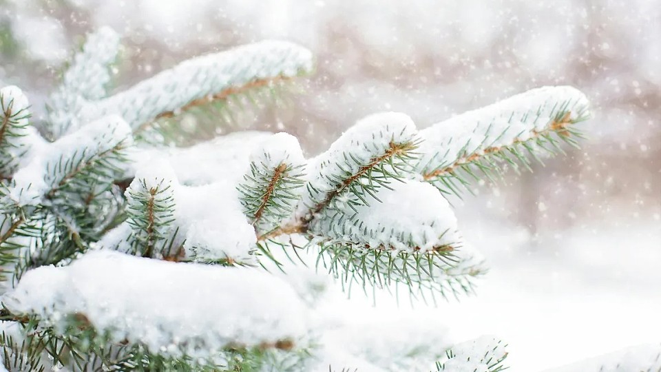 Vine iarnă grea, s-a anunţat când ninge şi la Bucureşti. Climatologii au descoperit anomalii ale vortexului polar