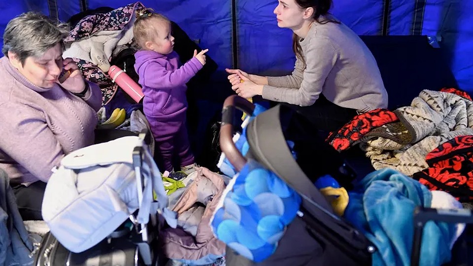 România are 4.500 adăposturi cu murături. Proprietarii au 24 ore sa le golească in caz de razboi