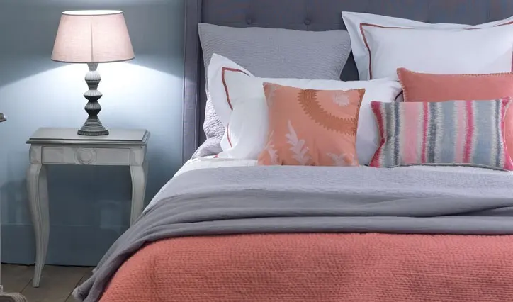 Sarm cu iz antichizat la Casara