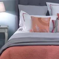 Sarm cu iz antichizat la Casara