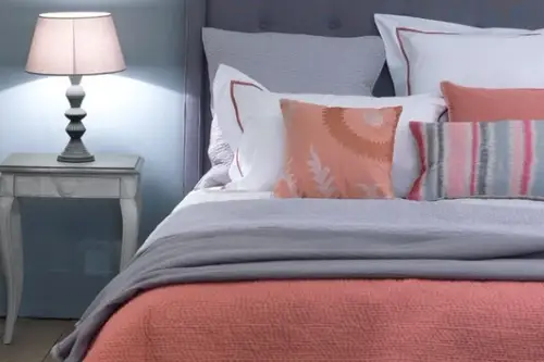 Sarm cu iz antichizat la Casara