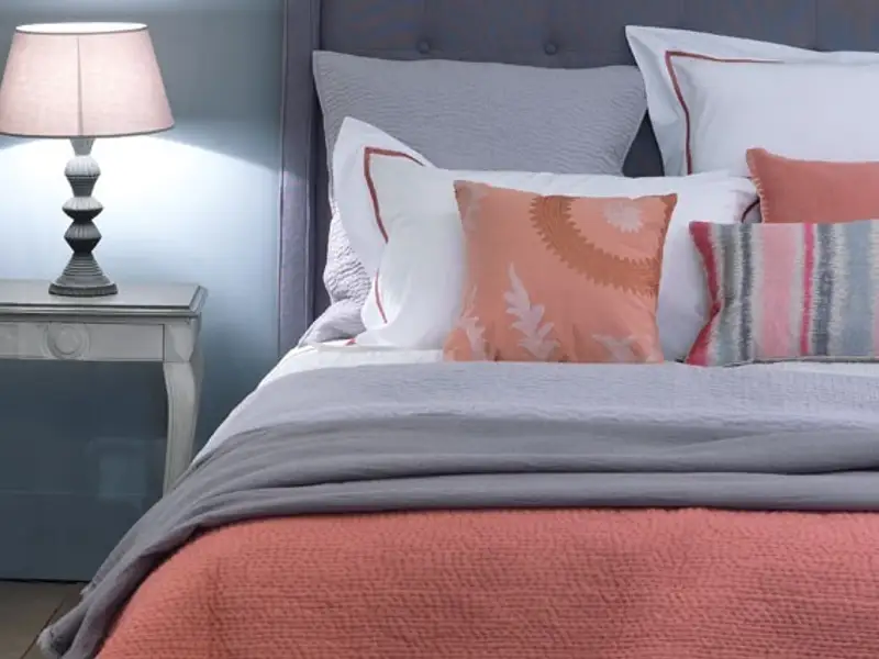 Sarm cu iz antichizat la Casara