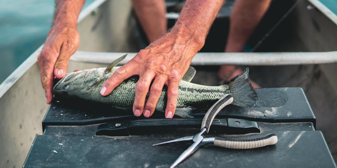 Lanseta feeder vs. lanseta spinning: care e mai potrivită pentru tipul tău de pescuit?