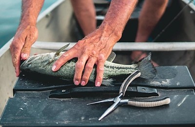 Lanseta feeder vs. lanseta spinning: care e mai potrivită pentru tipul tău de pescuit?