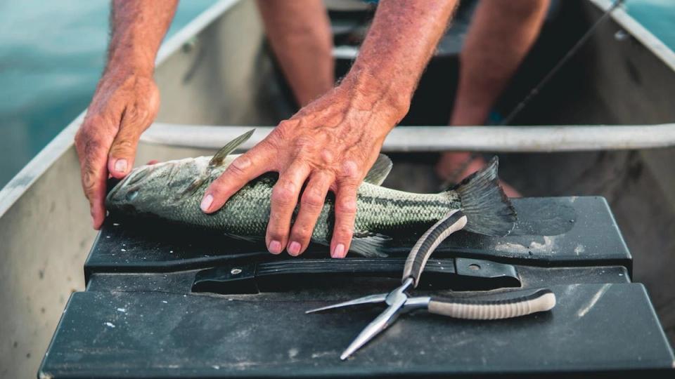 Lanseta feeder vs. lanseta spinning: care e mai potrivită pentru tipul tău de pescuit?