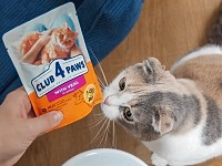 Vânzările Kormotech pe plan local au crescut cu peste 14% până la 8,7 milioane de euro