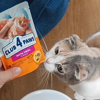 Vânzările Kormotech pe plan local au crescut cu peste 14% până la 8,7 milioane de euro