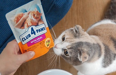 Vânzările Kormotech pe plan local au crescut cu peste 14% până la 8,7 milioane de euro