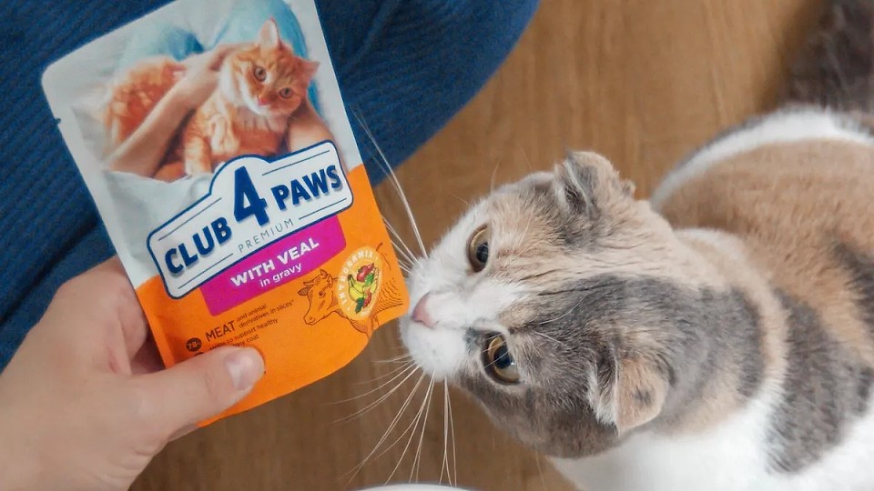 Vânzările Kormotech pe plan local au crescut cu peste 14% până la 8,7 milioane de euro