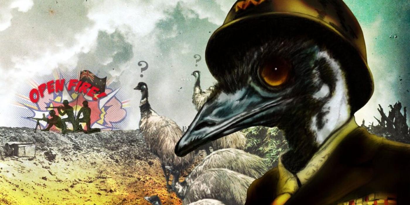 Războiul cu emu, unul dintre cele mai ciudate evenimente din istorie
