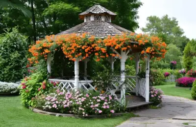 The Best Plants for Beautifying Your Courtyard Pergola