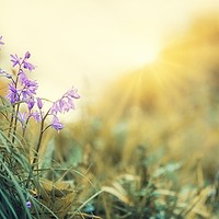 Prognoza meteo, 28 aprilie. Soare strălucitor, dar cu ploi izolate la deal și munte