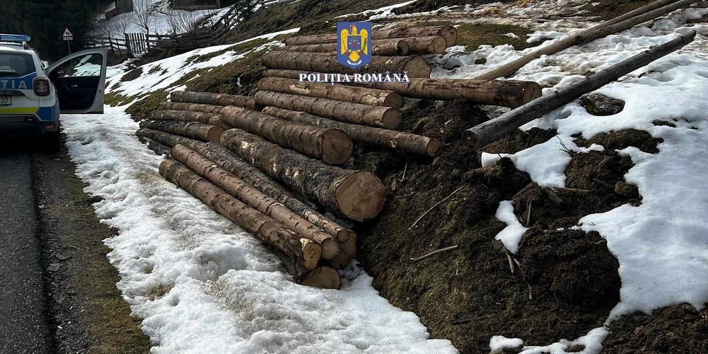 La Cluj au fost confiscate zeci de metri cubi de lemne tăiați ilegal