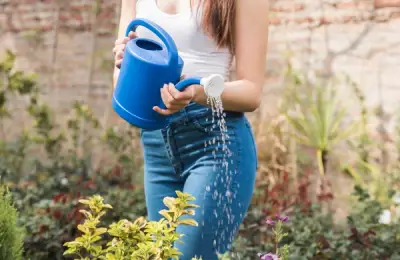 Sfaturi pentru a Economisi Apă în Grădină: Metode Eficiente de Irigare și Îngrijire a Plantelor