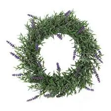 Plantele aromatice tin departe insectele de casa ta