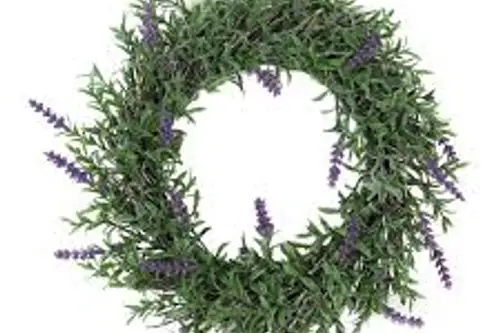 Plantele aromatice tin departe insectele de casa ta