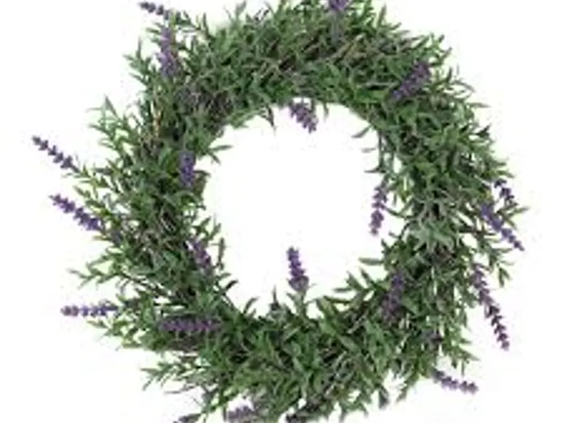 Plantele aromatice tin departe insectele de casa ta