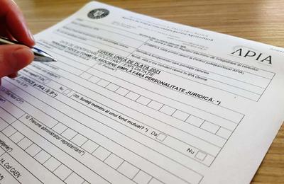 Protest în centrele APIA – Nu vor fi preluate cereri între 12.00 şi 13.00 / Revendicările funcţionarilor / Activitatea ar putea fi blocată pe termen nelimitat