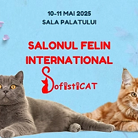 Pregătiți-vă pentru o defilare de eleganță pe patru lăbuțe, originalul catwalk!