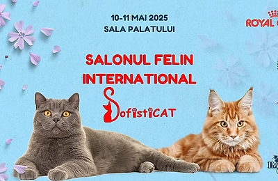 Pregătiți-vă pentru o defilare de eleganță pe patru lăbuțe, originalul catwalk!