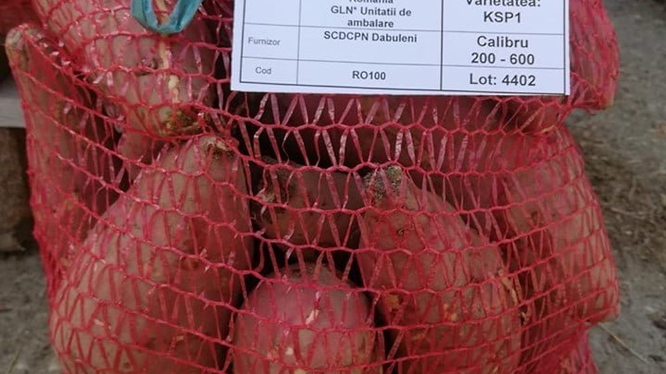 Slatina, orașul cu cele mai mici prețuri la cartofi și coșul zilnic alimentar printre cele mai accesibile din România
