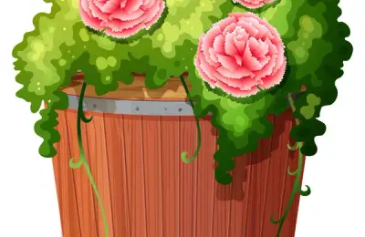 Ghid Practic pentru Plantarea și Îngrijirea Trandafirilor în Ghiveci