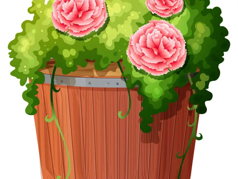 Ghid Practic pentru Plantarea și Îngrijirea Trandafirilor în Ghiveci