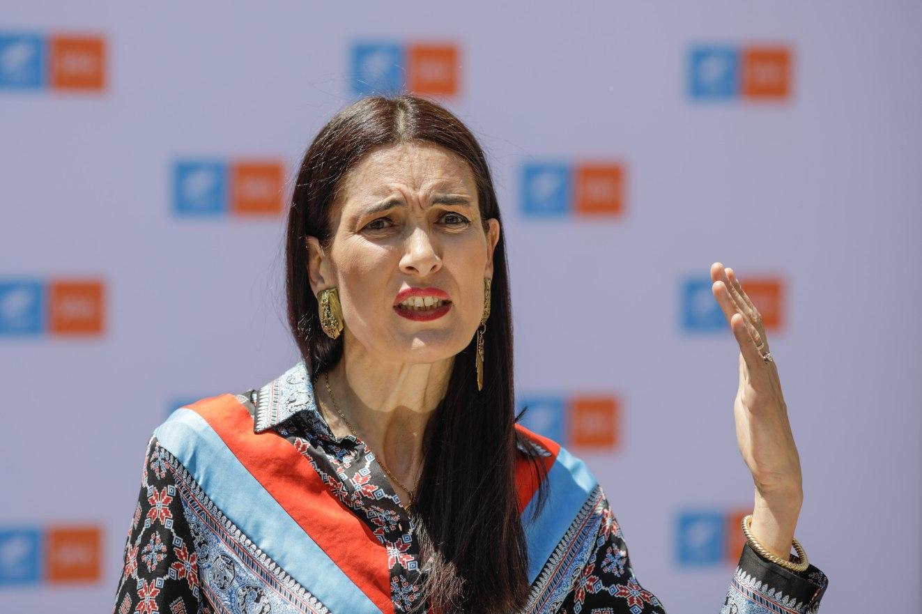 ANI o acuză pe Clotilde Armand de conflict de interese