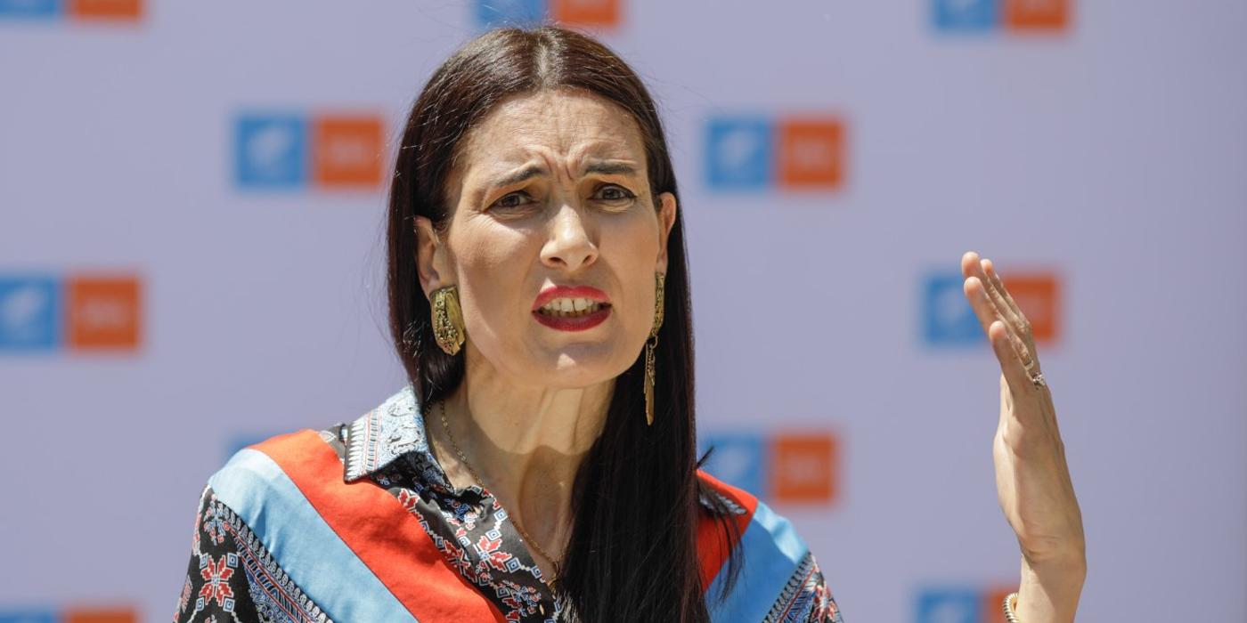 ANI o acuză pe Clotilde Armand de conflict de interese