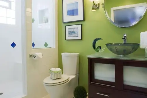 10 modele de bai amenajate cu verde