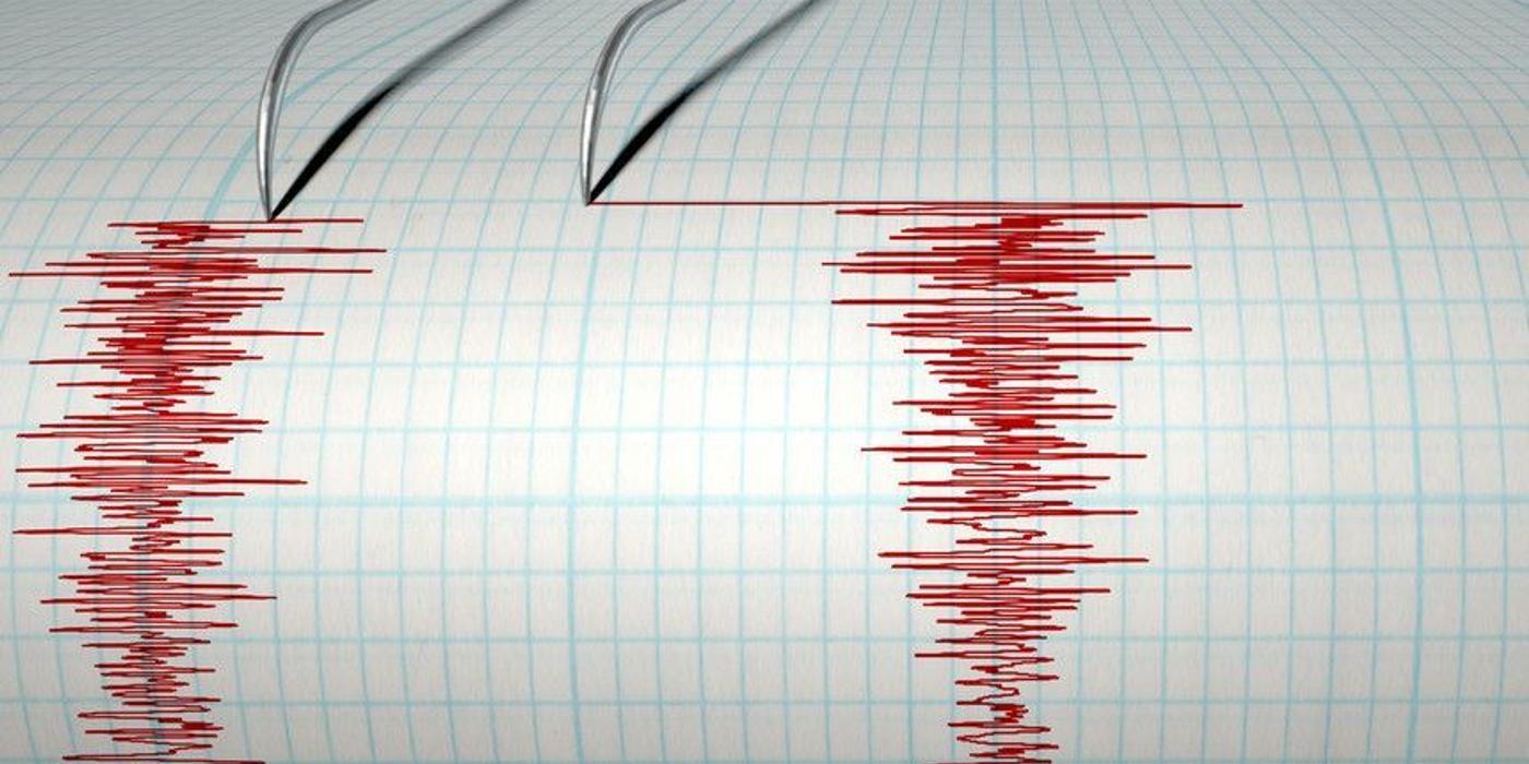 PAID: Până vineri au fost deschise 139 de dosare de daună din 16 judeţe în urma cutremurelor din Gorj