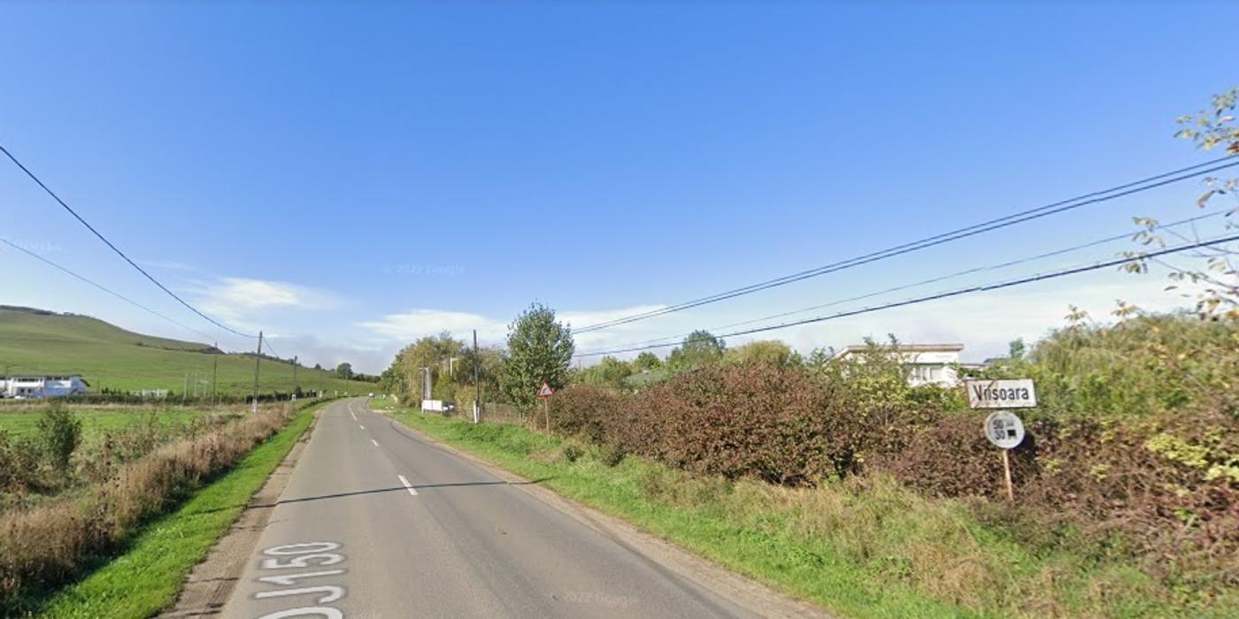 Scandal în Viișoara, soldat cu opt reținuți