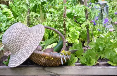 6 Useful Tips for Creating a Vegetable Garden in Your Own Yard