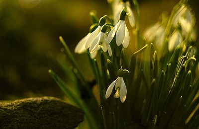 Prognoza meteo, 26 februarie. Vremea se încălzește ușor în majoritatea regiunilor. Unde vor fi condiții de ceață