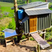 Cabana uimitoare in copac, cu pod retractabil, actionat prin telecomanda (VIDEO)