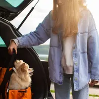 Călătoriile cu un animal de apartament – Cum să te pregătești pentru vacanțe sau deplasări fără stres