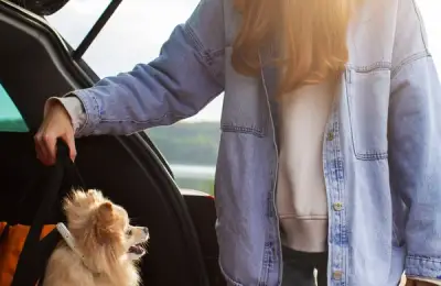 Traveling with a Pet - How to Prepare for Stress-Free Vacations or Trips