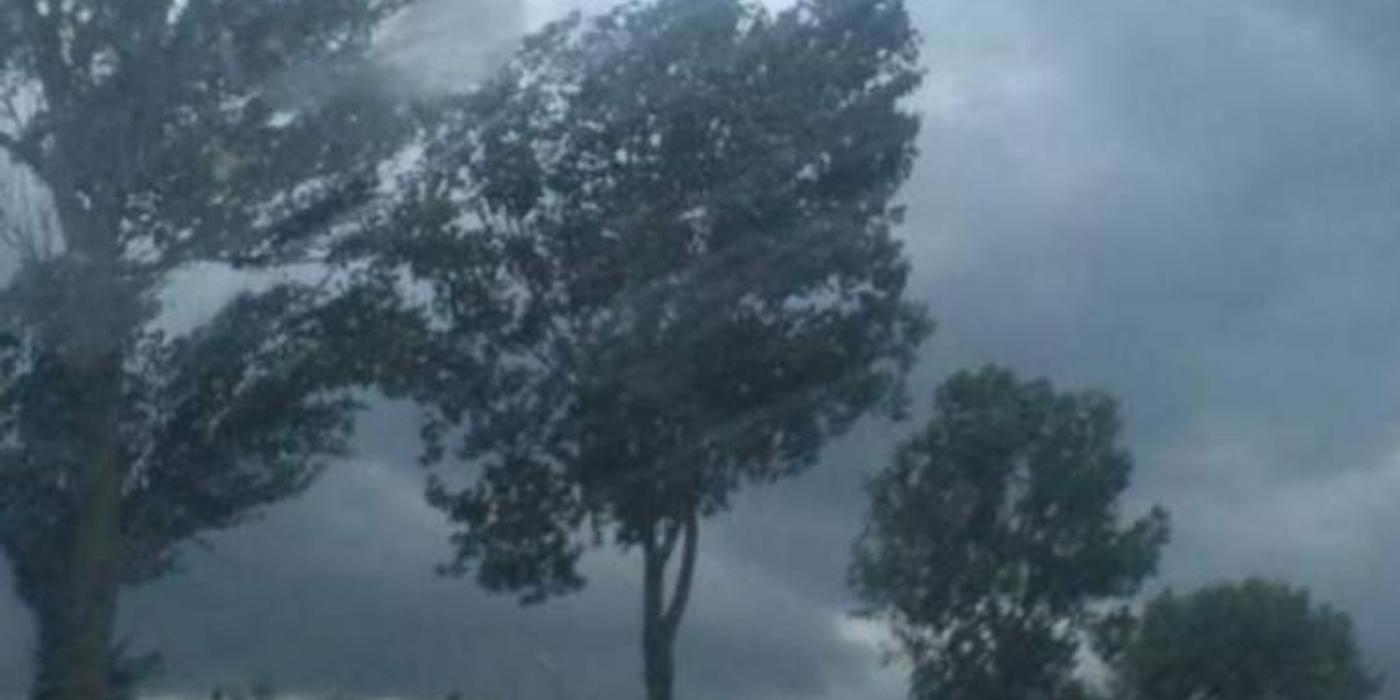 Meteorologii au emis vineri, 27 octombrie, o atenţionare cod galben de vânt în județul Cluj