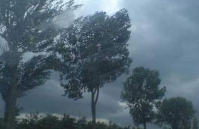 Meteorologii au emis vineri, 27 octombrie, o atenţionare cod galben de vânt în județul Cluj