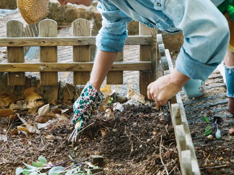 Cum să menții grădina fără buruieni și dăunători – Metode naturale și soluții eficiente pentru protejarea plantelor