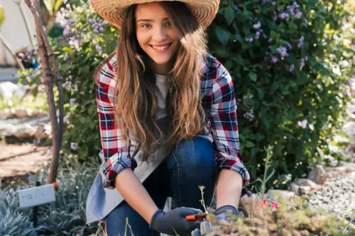 Grădinărit pentru Începători: Plantele Cele Mai Ușor de Îngrijit