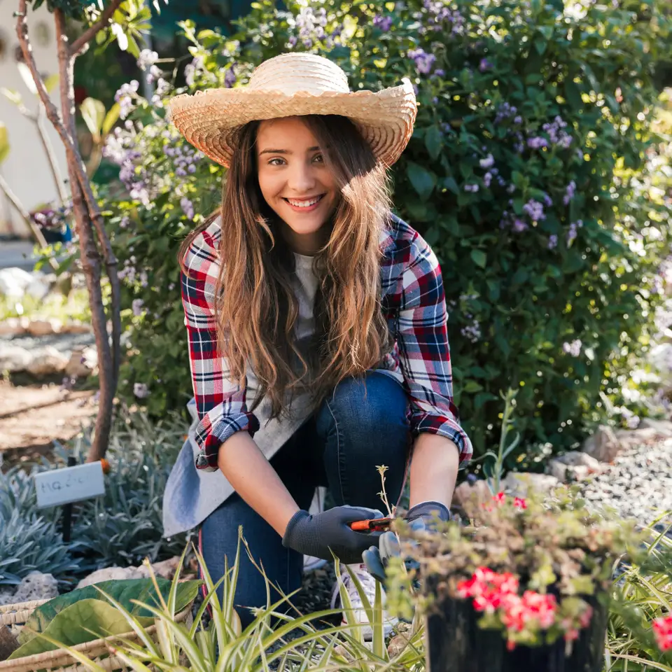Gardening for Beginners: The Easiest Plants to Care For